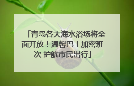 青岛各大海水浴场将全面开放！温馨巴士加密班次 护航市民出行