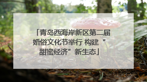 青岛西海岸新区第二届婚俗文化节举行 构建“甜蜜经济”新生态