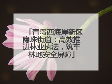 青岛西海岸新区隐珠街道：高效推进林业执法，筑牢林地安全屏障