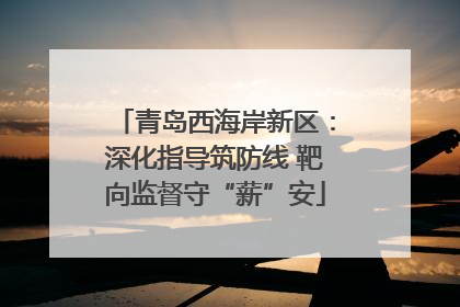 青岛西海岸新区：深化指导筑防线 靶向监督守“薪”安