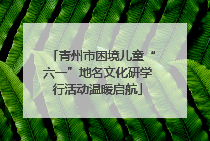 青州市困境儿童“六一”地名文化研学行活动温暖启航