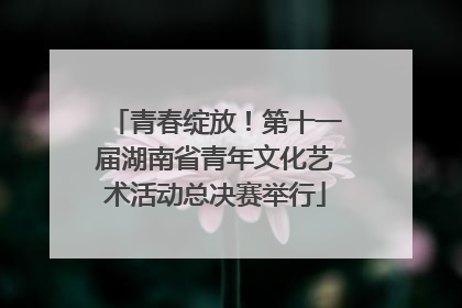青春绽放！第十一届湖南省青年文化艺术活动总决赛举行