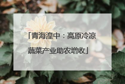 青海湟中：高原冷凉蔬菜产业助农增收