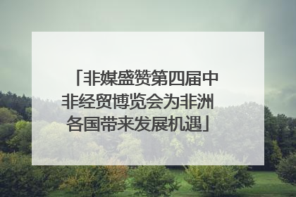 非媒盛赞第四届中非经贸博览会为非洲各国带来发展机遇