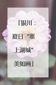 银川：夏日“塞上湖城”美如画