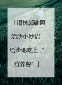 锡林郭勒盟治沙小妙招 给沙地吃上“营养餐”