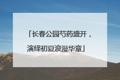 长春公园芍药盛开，演绎初夏浪漫华章