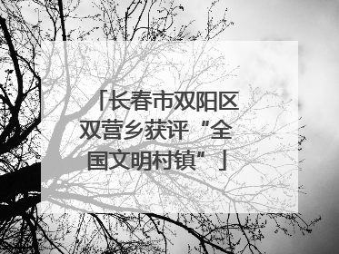 长春市双阳区双营乡获评“全国文明村镇”