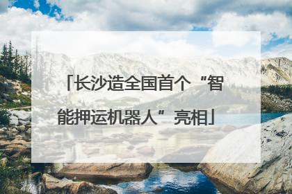 长沙造全国首个“智能押运机器人”亮相