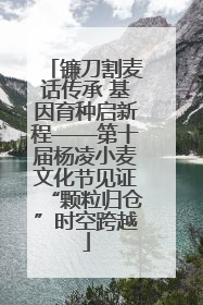 镰刀割麦话传承 基因育种启新程——第十届杨凌小麦文化节见证“颗粒归仓”时空跨越