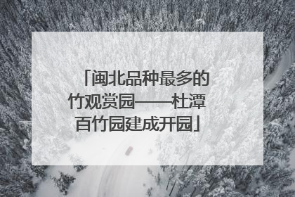 闽北品种最多的竹观赏园——杜潭百竹园建成开园