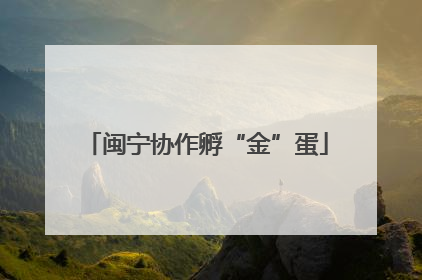 闽宁协作孵“金”蛋