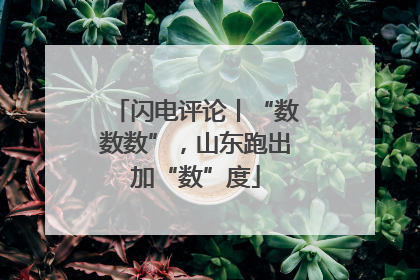 闪电评论丨“数数数”，山东跑出加“数”度