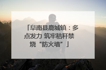 阜南县鹿城镇：多点发力 筑牢秸秆禁烧“防火墙”