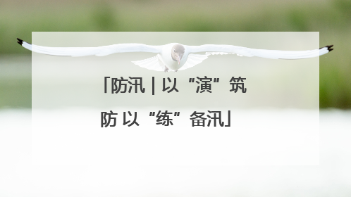 防汛｜以“演”筑防 以“练”备汛