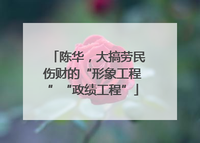 陈华，大搞劳民伤财的“形象工程”“政绩工程”