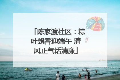 陈家渡社区：粽叶飘香迎端午 清风正气话清廉