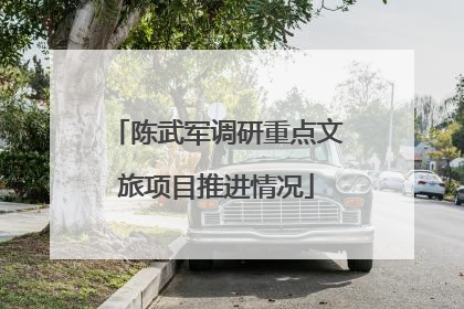 陈武军调研重点文旅项目推进情况