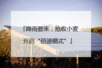 降雨要来，抢收小麦开启“倍速模式”