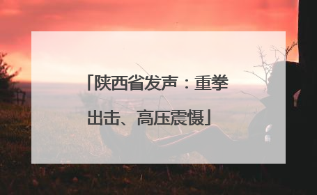 陕西省发声：重拳出击、高压震慑