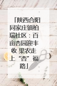 陕西合阳同家庄镇柏瑞社区：百亩杏园迎丰收 果农走上“杏”福路