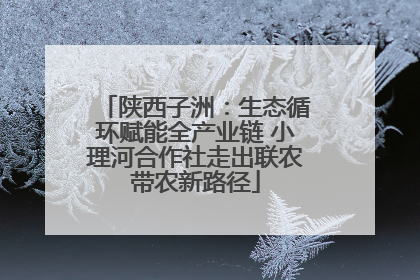 陕西子洲：生态循环赋能全产业链 小理河合作社走出联农带农新路径