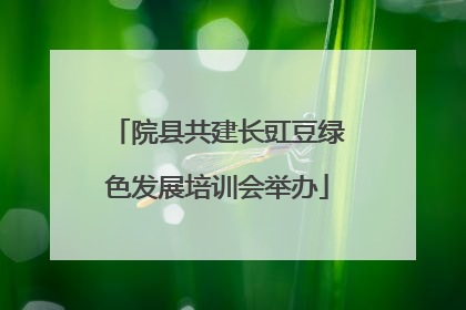 院县共建长豇豆绿色发展培训会举办