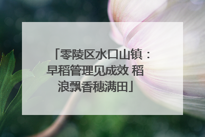 零陵区水口山镇：早稻管理见成效 稻浪飘香穗满田
