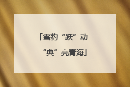 雪豹“跃”动 “典”亮青海