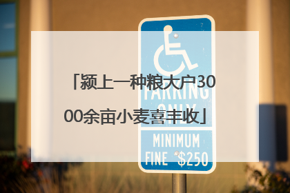 颍上一种粮大户3000余亩小麦喜丰收