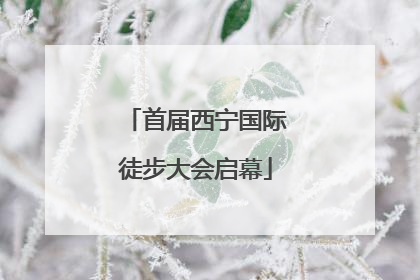首届西宁国际徒步大会启幕