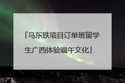马东铁项目订单班留学生广西体验端午文化