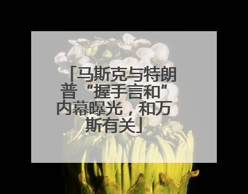 马斯克与特朗普“握手言和”内幕曝光，和万斯有关