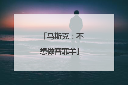 马斯克：不想做替罪羊