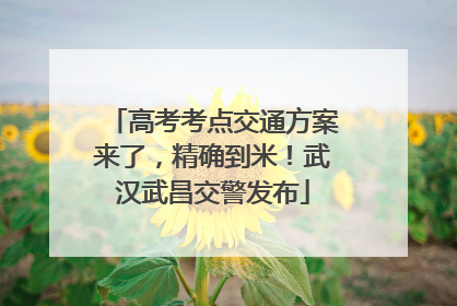 高考考点交通方案来了，精确到米！武汉武昌交警发布