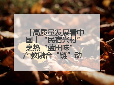高质量发展看中国丨“民宿兴村”烹热“蓝田味” 产教融合“链”动发展新引擎