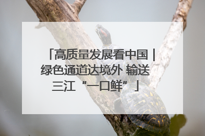 高质量发展看中国｜绿色通道达境外 输送三江“一口鲜”