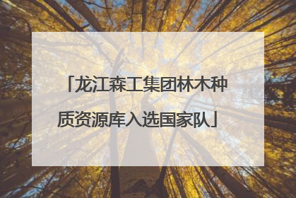 龙江森工集团林木种质资源库入选国家队