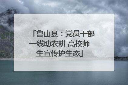 鲁山县：党员干部一线助农耕 高校师生宣传护生态
