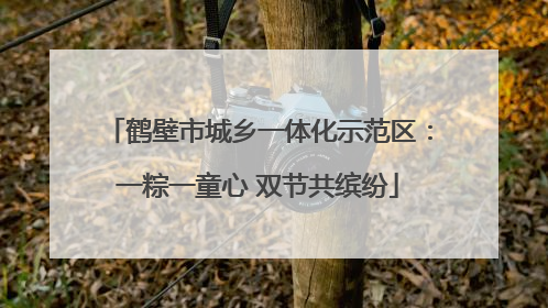 鹤壁市城乡一体化示范区：一粽一童心 双节共缤纷