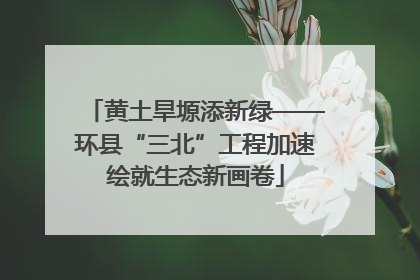 黄土旱塬添新绿——环县“三北”工程加速绘就生态新画卷