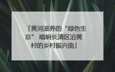 黄河滋养的“绿色生意” 唱响长清区沿黄村的乡村振兴曲