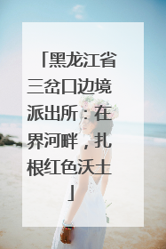 黑龙江省三岔口边境派出所：在界河畔，扎根红色沃土