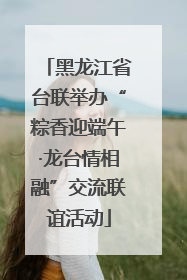 黑龙江省台联举办“粽香迎端午·龙台情相融”交流联谊活动