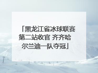 黑龙江省冰球联赛第二站收官 齐齐哈尔兰迪一队夺冠