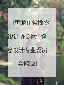 黑龙江省勘察设计协会冰雪创意设计专业委员会揭牌