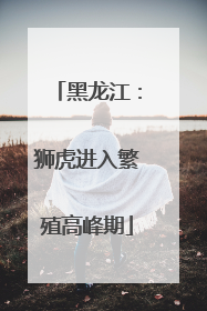 黑龙江：狮虎进入繁殖高峰期
