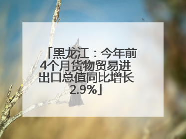 黑龙江：今年前4个月货物贸易进出口总值同比增长2.9%