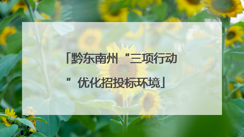 黔东南州“三项行动”优化招投标环境