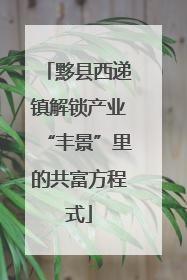 黟县西递镇解锁产业“丰景”里的共富方程式